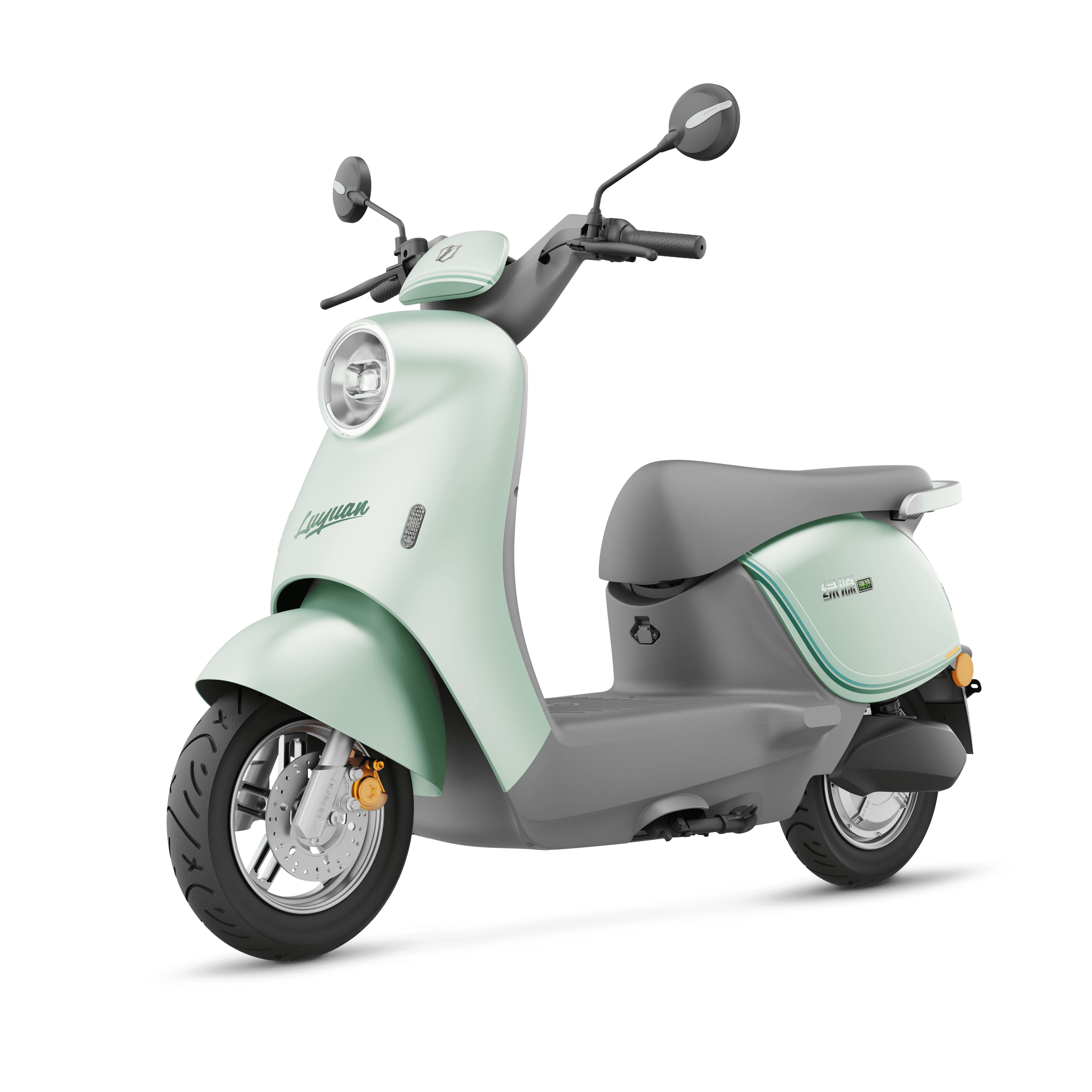 Eco Motion E-Bike